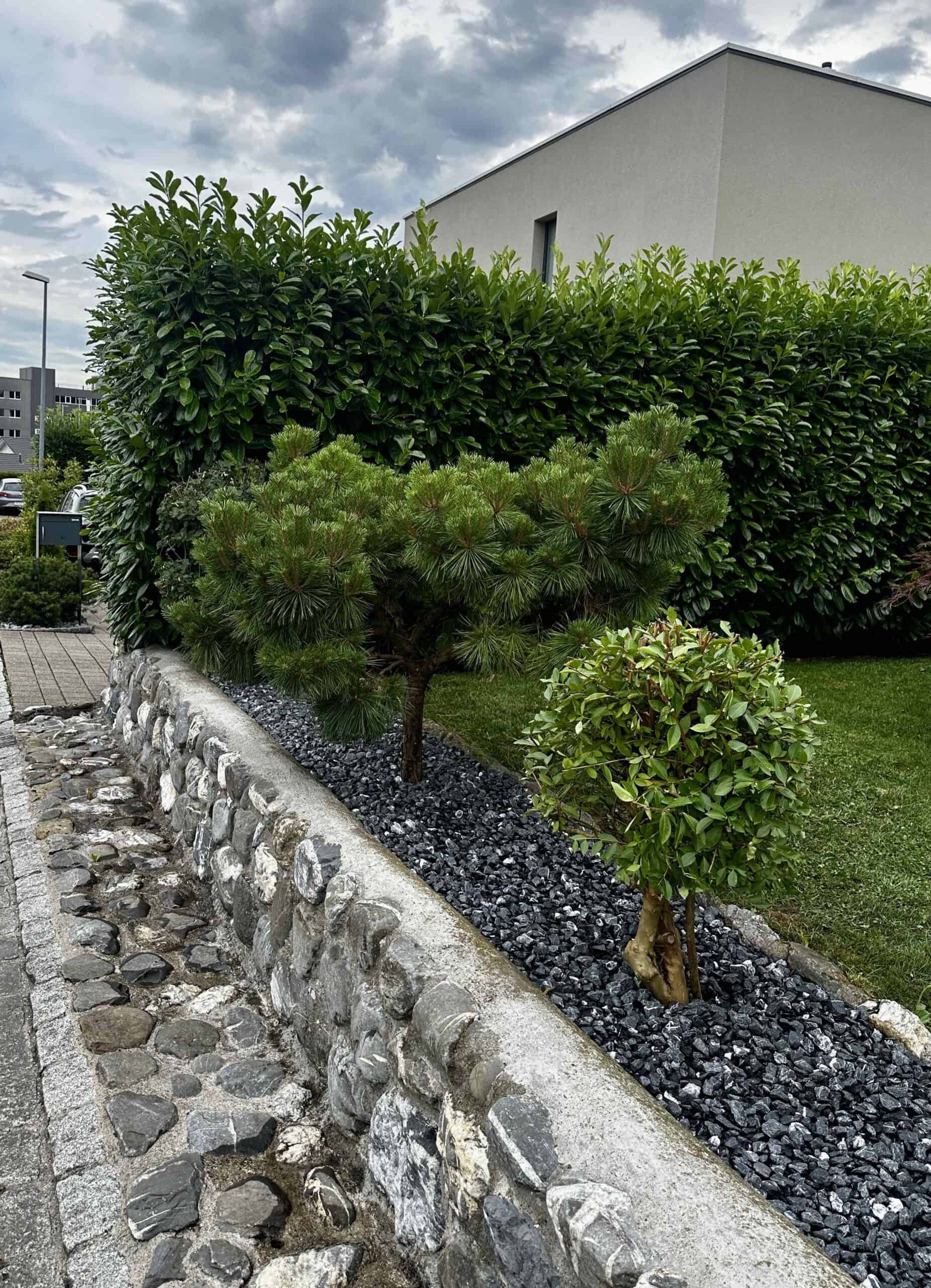 Gepflegte Hecke und Garten in Wil – Dalex Immo Gartenbau