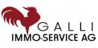 Hauswartung und kleine Reparaturen für Galli Immo-Service AG in Region Wil SG durch Dalex Immo