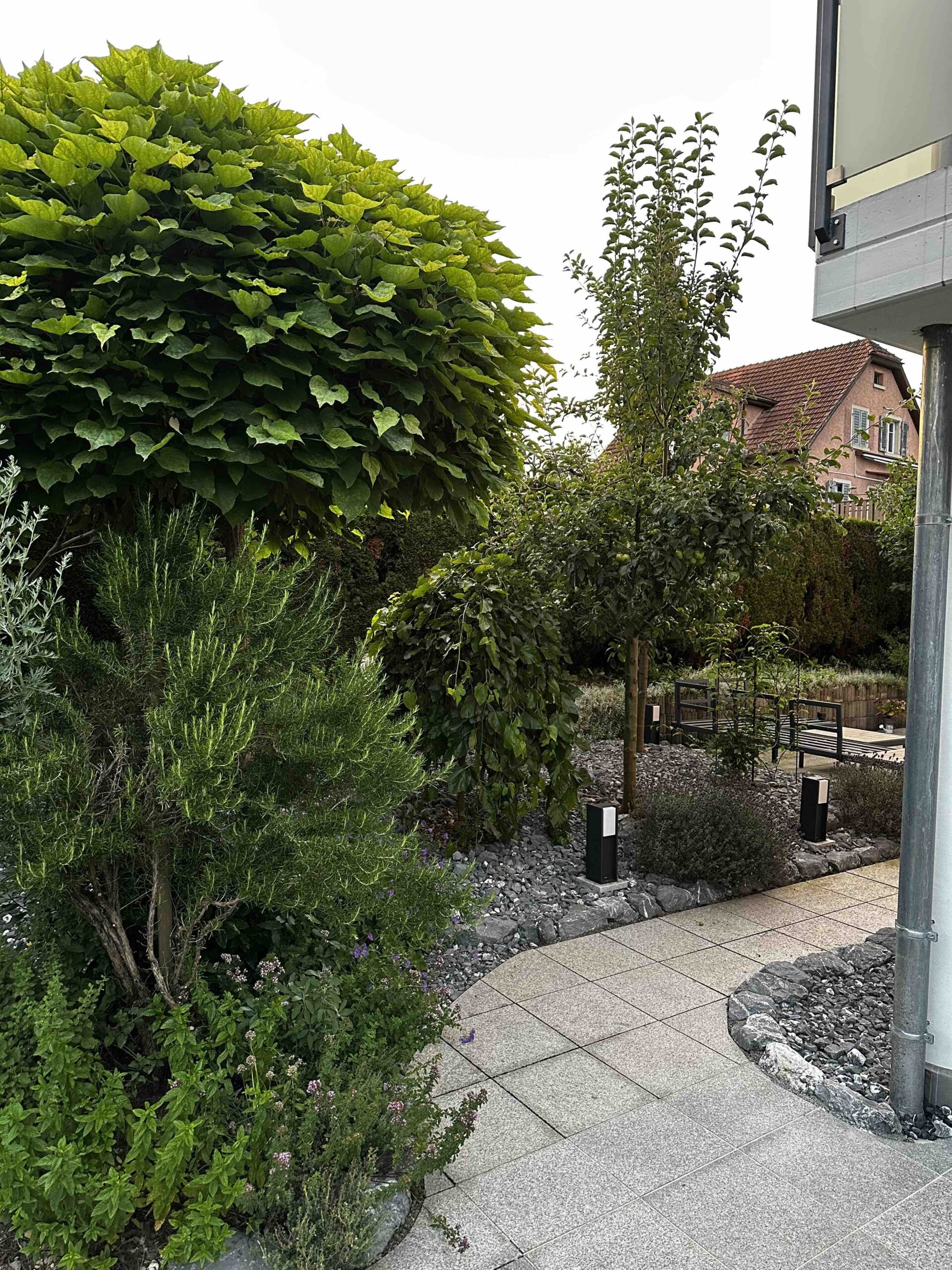 Gartenunterhalt und Saisonpflege in der Ostschweiz – gepflegter Hausgarten mit Weg und Sträuchern, betreut von Dalex Immo