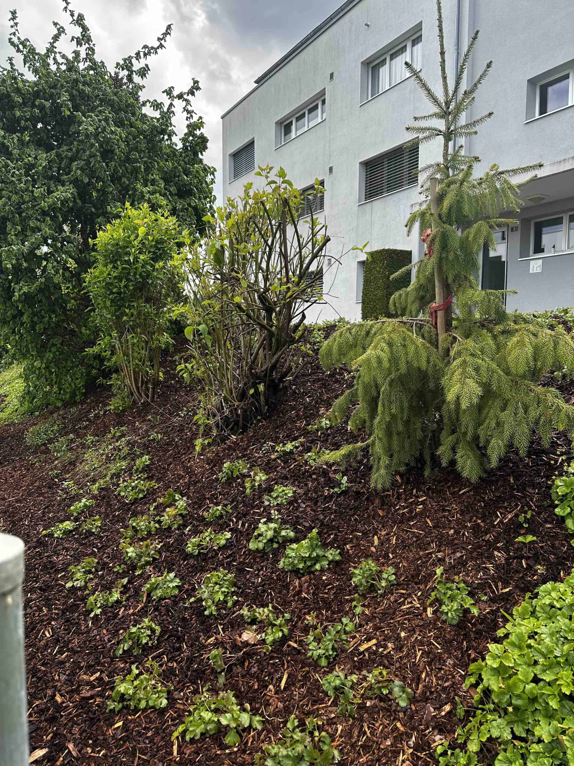 Dalex Immo bietet zuverlässige Hauswartung in Winterthur mit Gebäudereinigung, Gartenpflege und technischer Wartung.