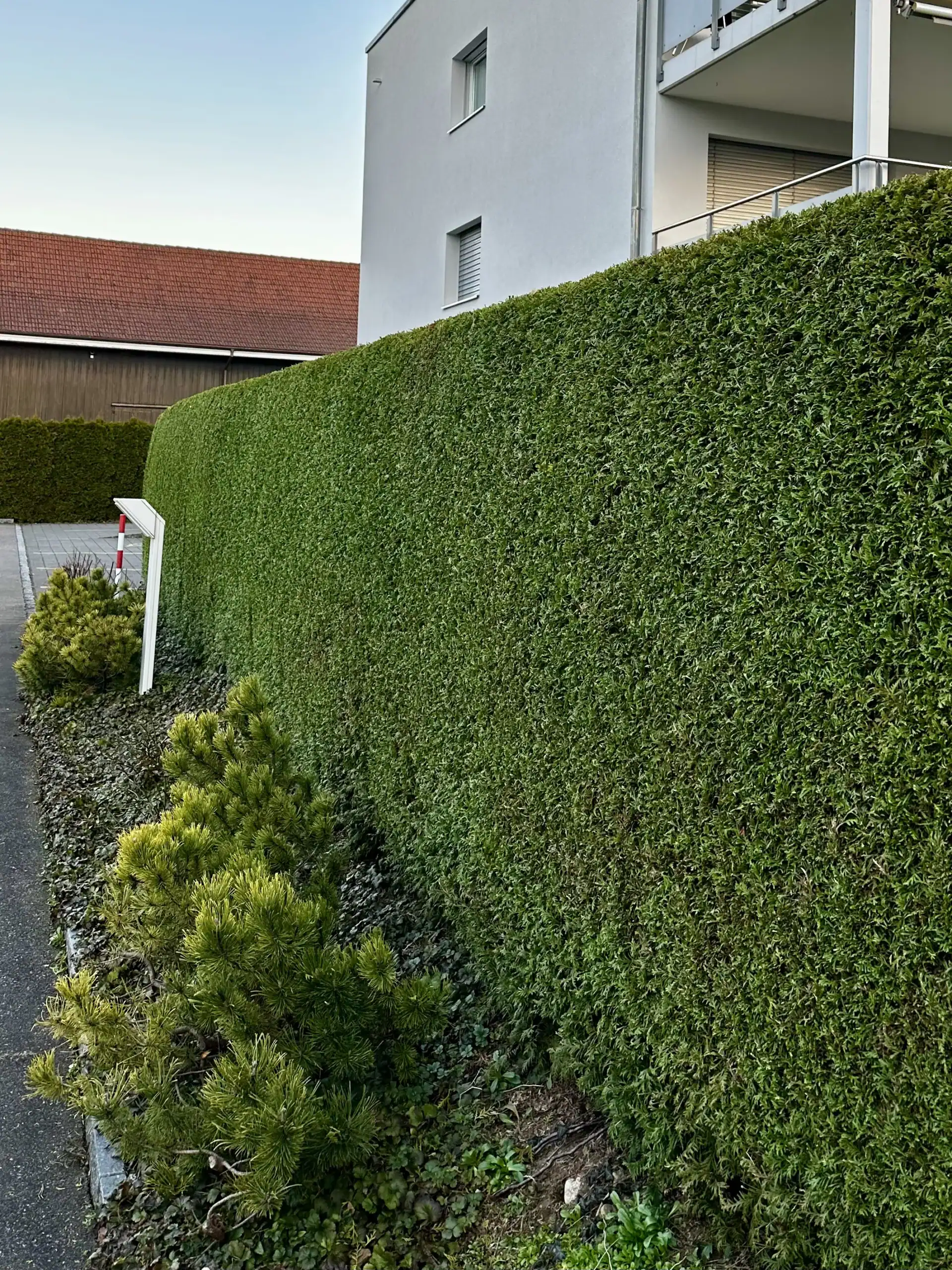 Dalex Immo – gepflegte Hecke und Aussenanlage als Beispiel für professionelle Umgebungspflege.“